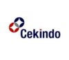 Lowongan Kerja Business Consultant Intern di PT. Cekindo Business International