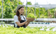 Bisnis Sampingan Untuk Karyawan