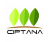 Loker PT. Cipta Wijaya Mandiri