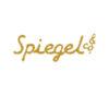 Lowongan Kerja Accounting di Spiegel