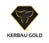 Lowongan Kerja Manager – Admin HRD – Graphic Designer – Social Media Specialist di Toko Mas Kerbau Weleri