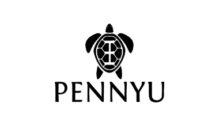 Lowongan Kerja Sales Lapangan (Area Boyolali & Area Kudus) di Pennyu Group - Semarang