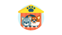 Lowongan Kerja Grooming Hewan Anjing & Kucing di Pet Shop Semarang Tengah - Semarang
