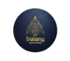 Lowongan Kerja Project Officer Event di Dalang Wedding Organizer (PT. Diwangsa Nyala Kreatif)